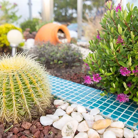 Отель Hotel Santa Eulalia Bay 3*