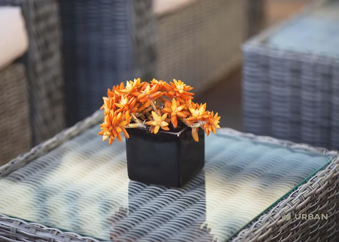 Hotel Santa Eulalia Bay 3*