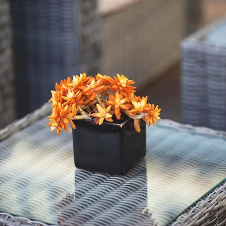 Hotel Santa Eulalia Bay 3*